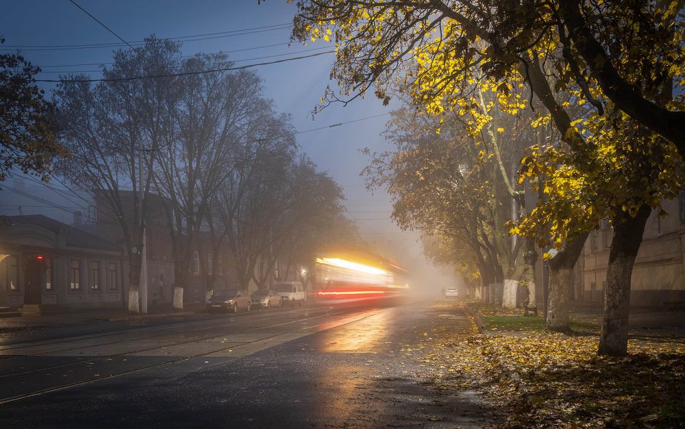 Photograph by Васильева Ирина
