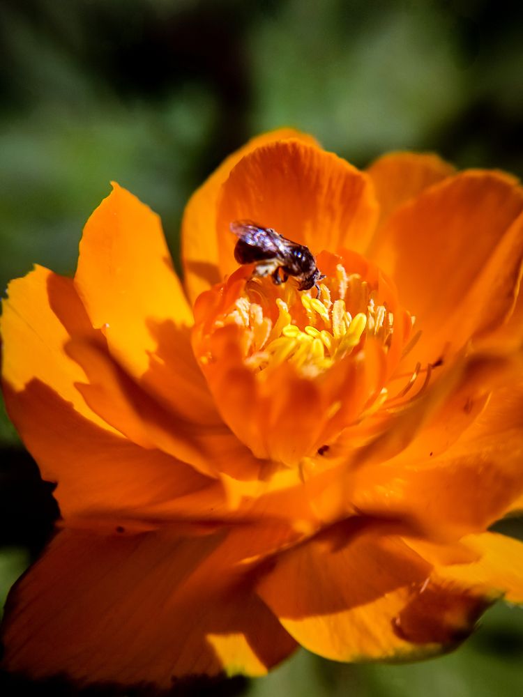 Фотография автора Нина Зинченко