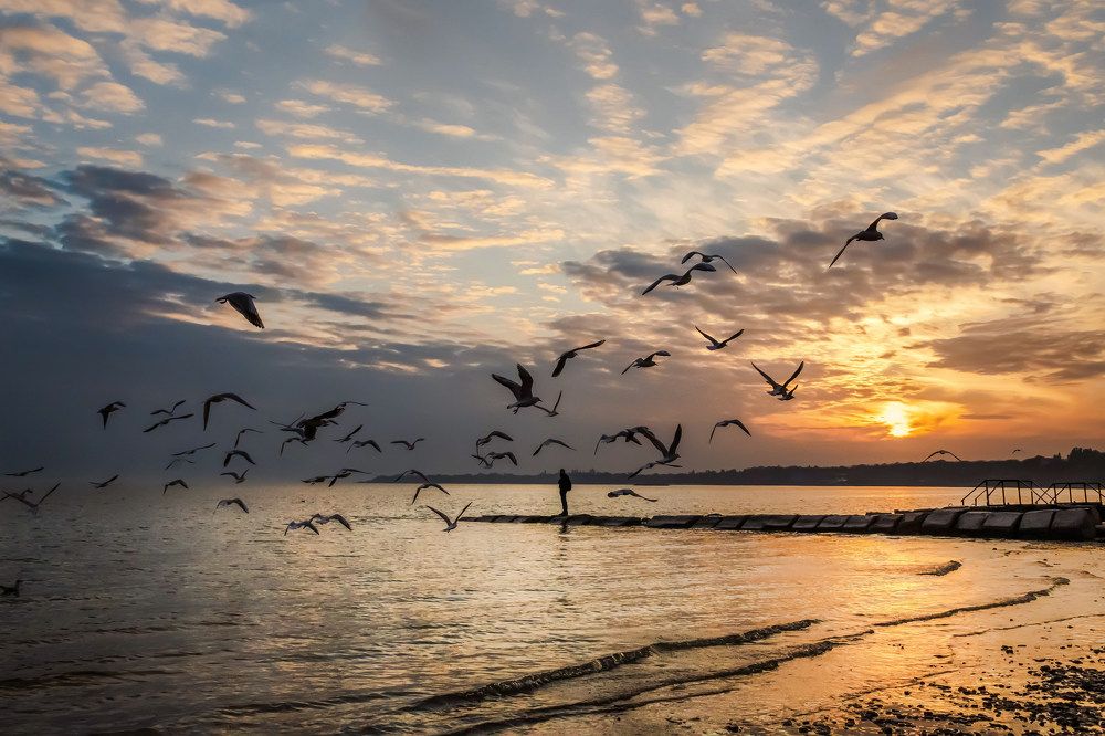 Photograph by Васильева Ирина