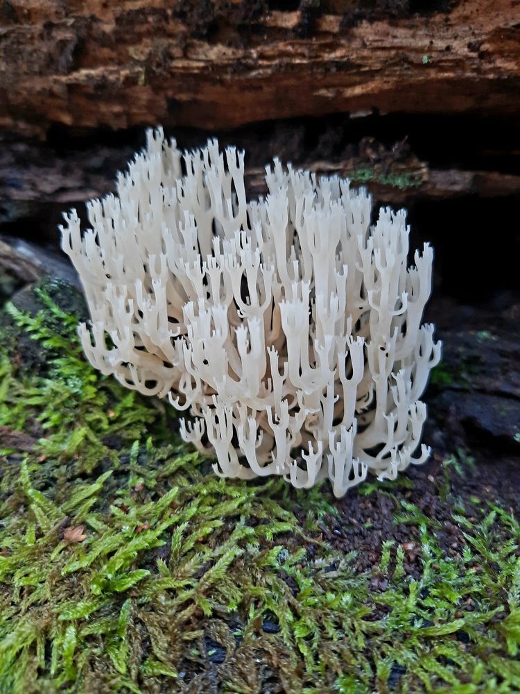 Photograph by Sonia Crotta