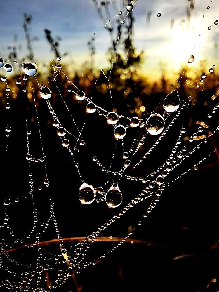 Photograph by 