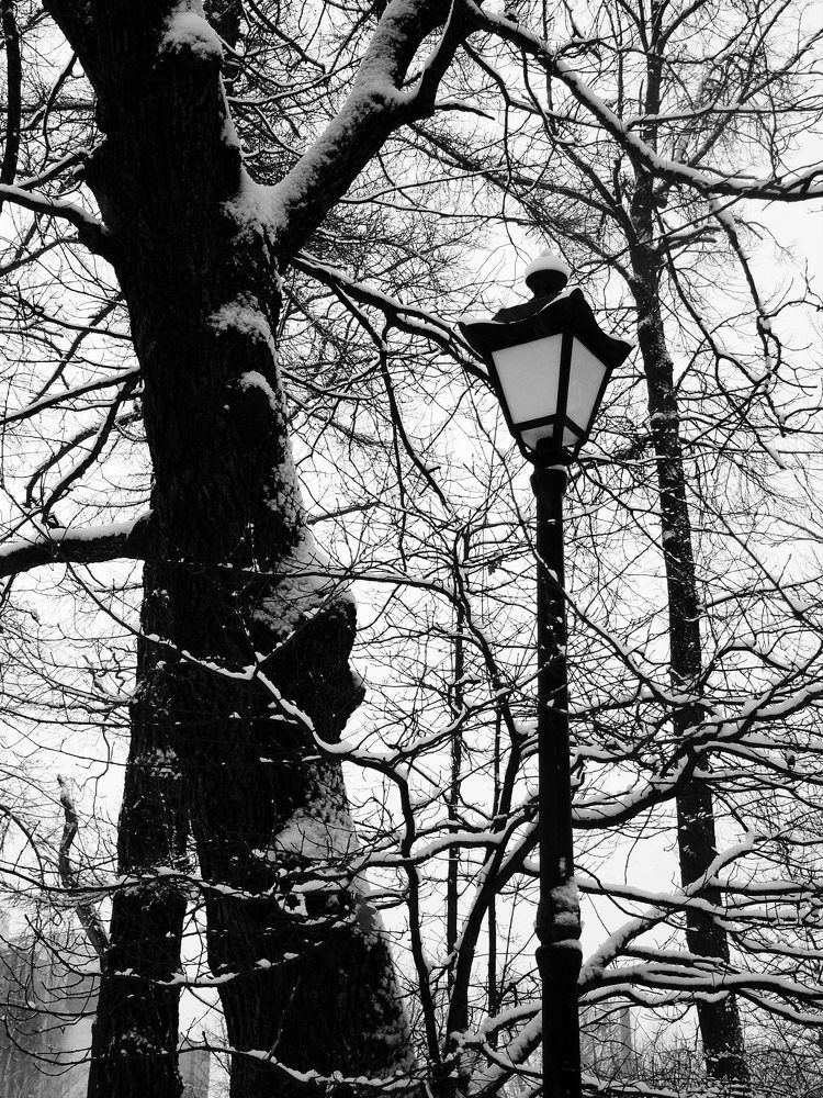 Хмурое утро