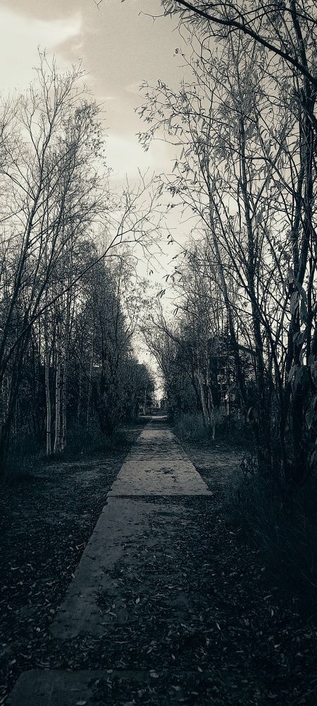 Фотография автора Евгения Зайцева