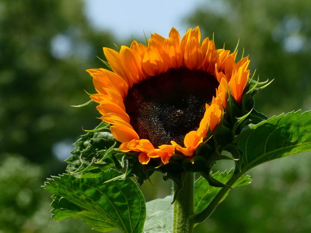 Photograph by Александр Кизим