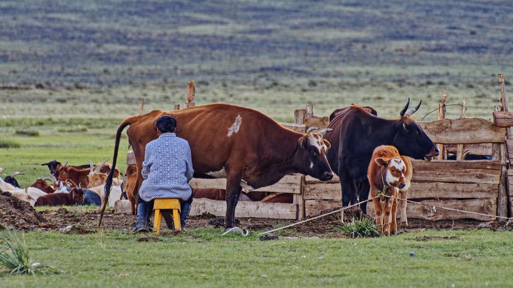 Photograph by Андрей Панин