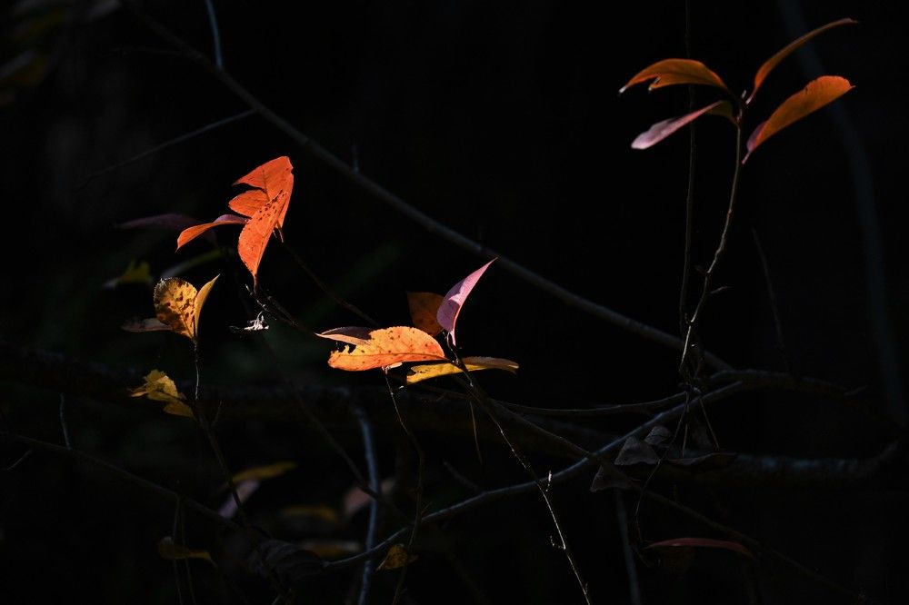 Фотография автора IRINA FILIPPOVA