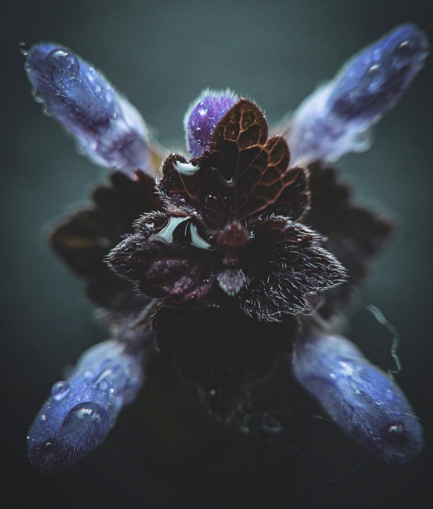 Фотография автора Юра Кладухин