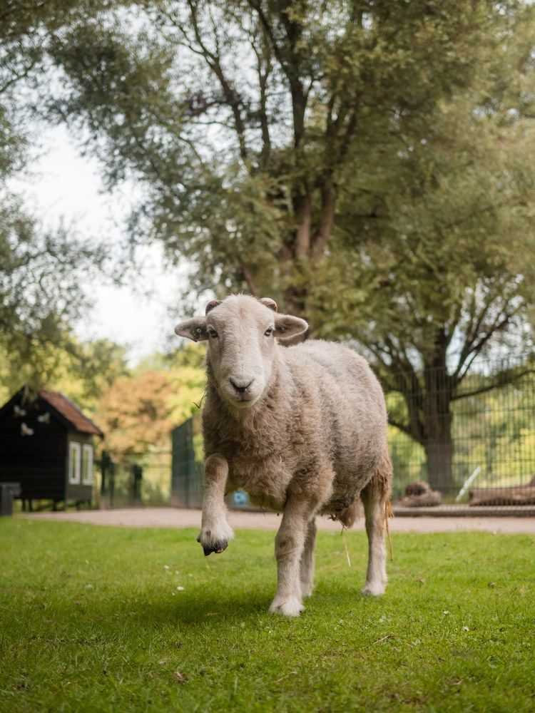 Photograph by Elena Yilmaz