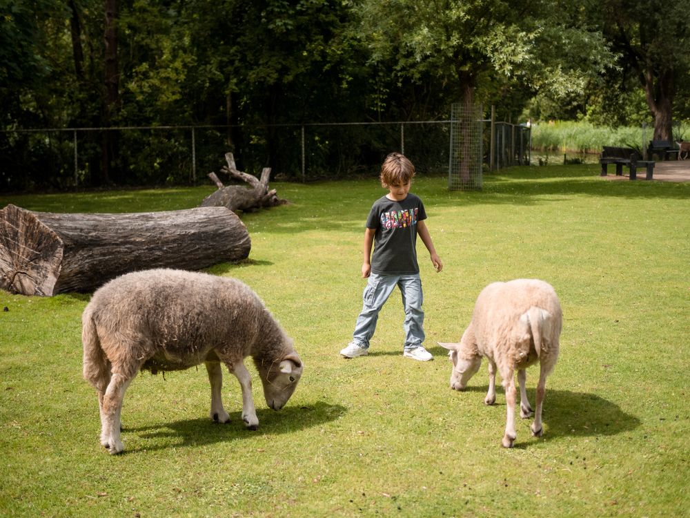 Photograph by Elena Yilmaz