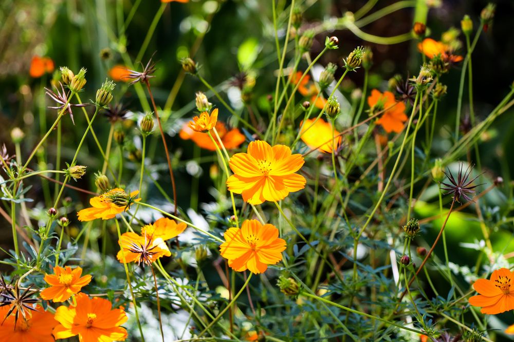 Photograph by Игорь Чечин