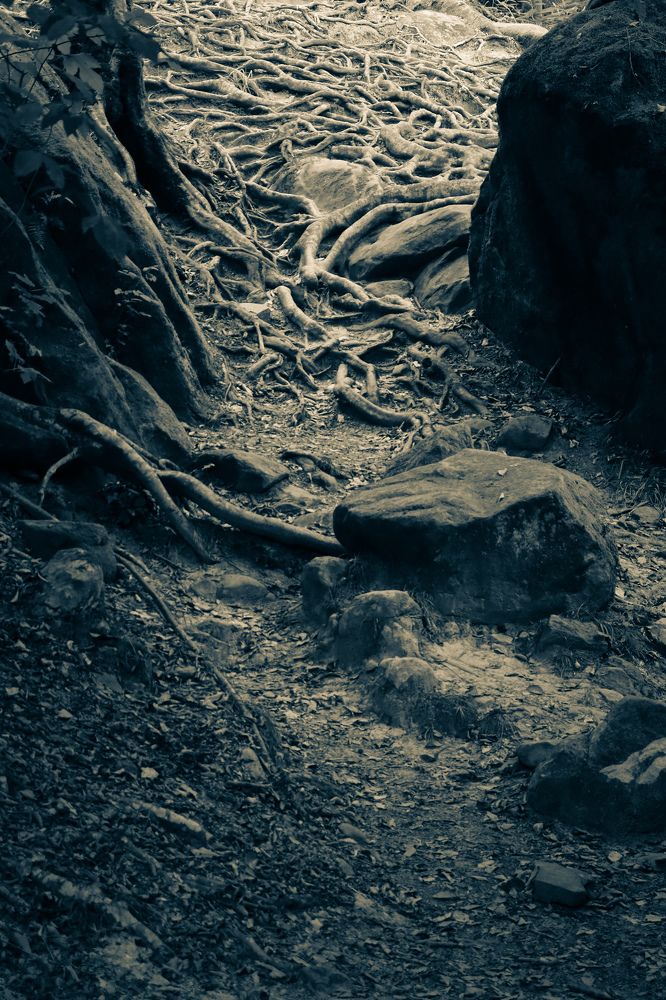 Photograph by Игорь Чечин