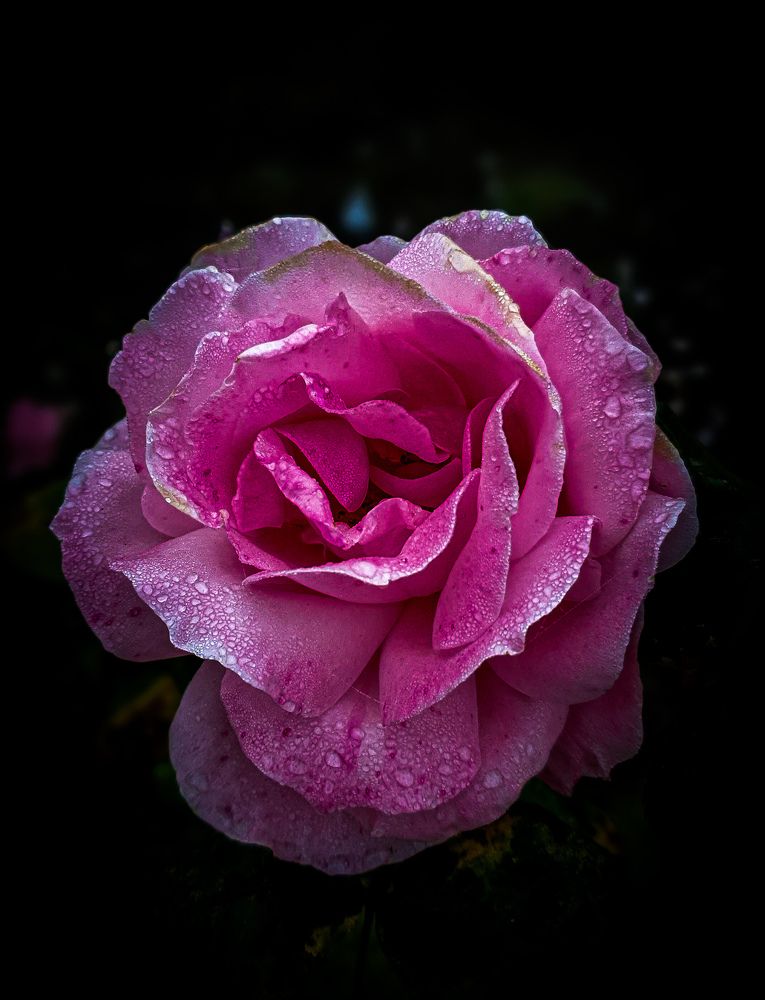 Photograph by Анастасия Трофимовская