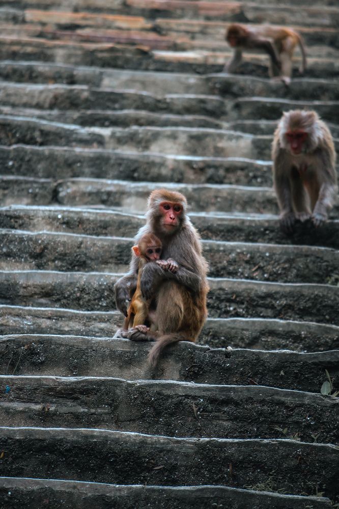 Photograph by Santosh Shrestha