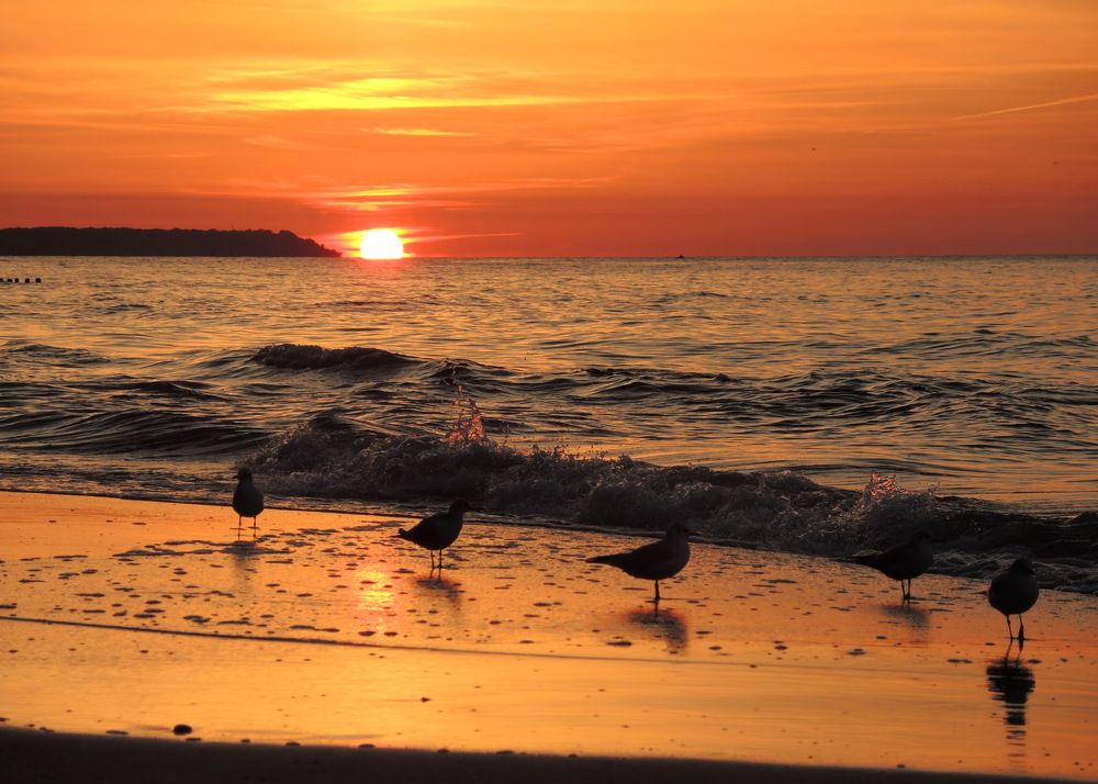 Балтийский вечер