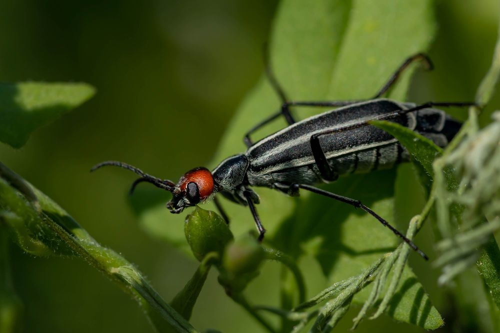 Photograph by Светлана Тараканова