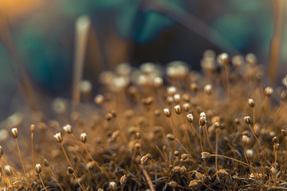 Photograph by дмитрий игнатов