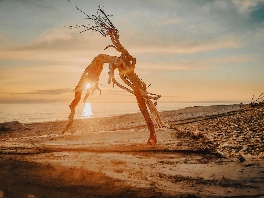 Photograph by Игорь Чечин