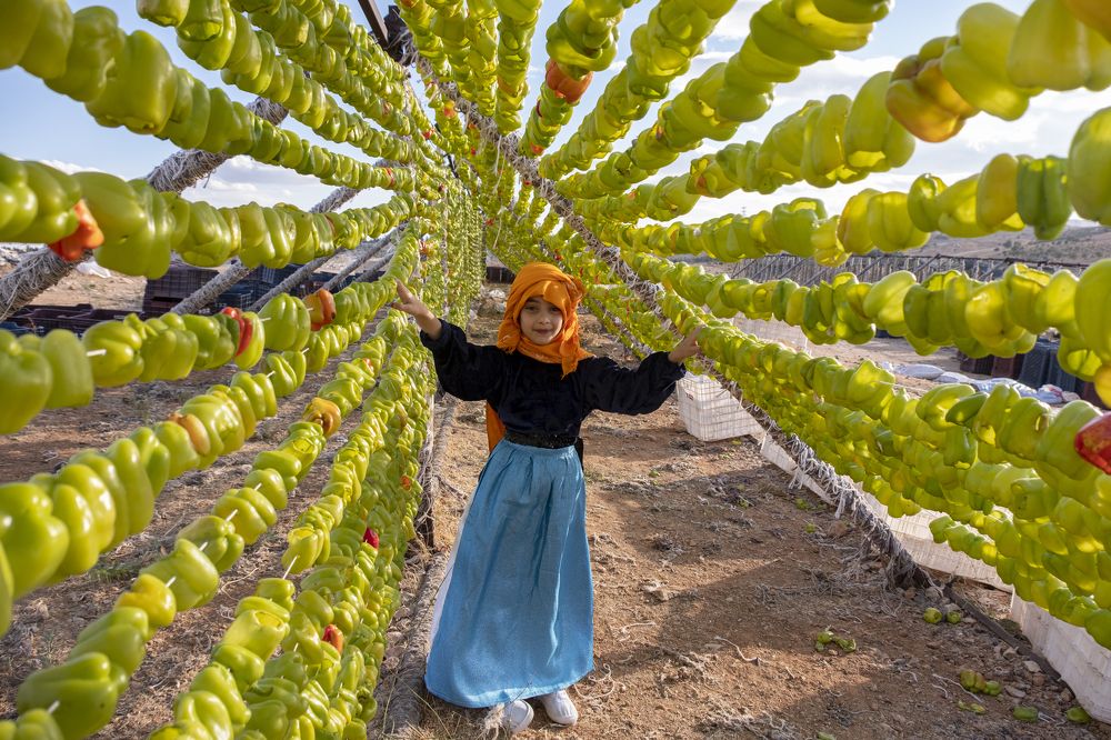 Photograph by İNCİ KOYUNCU
