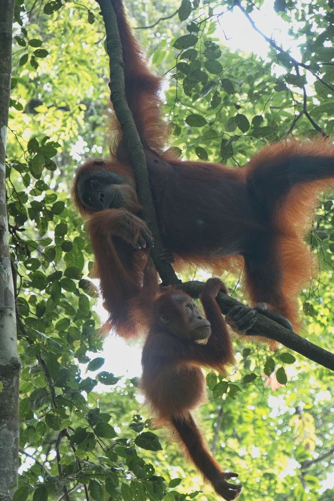 Photograph by Tatiana Serova