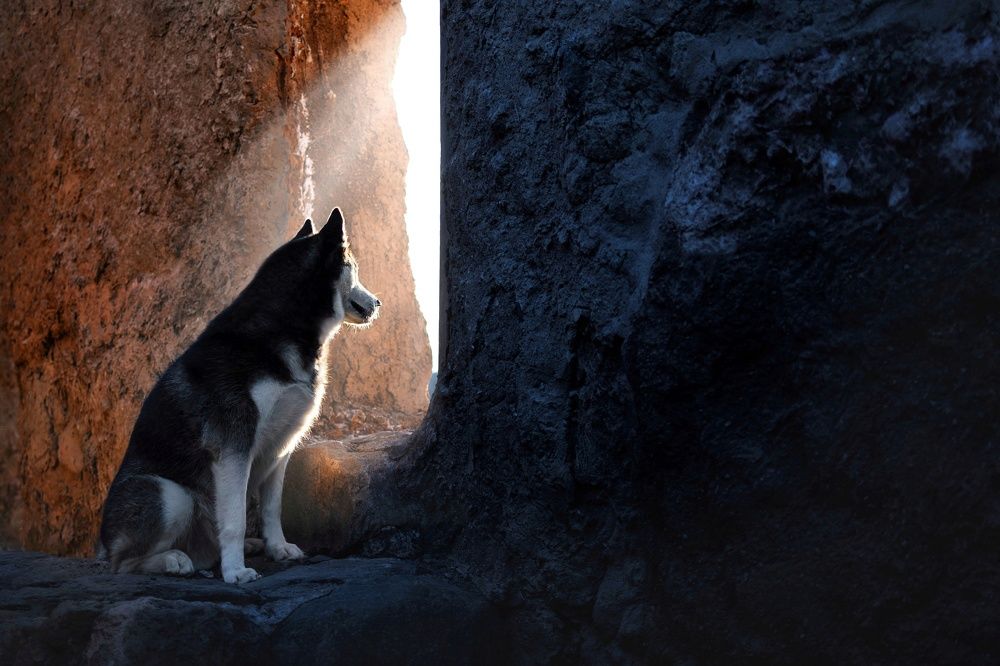 Photograph by Natalia Hidalgo