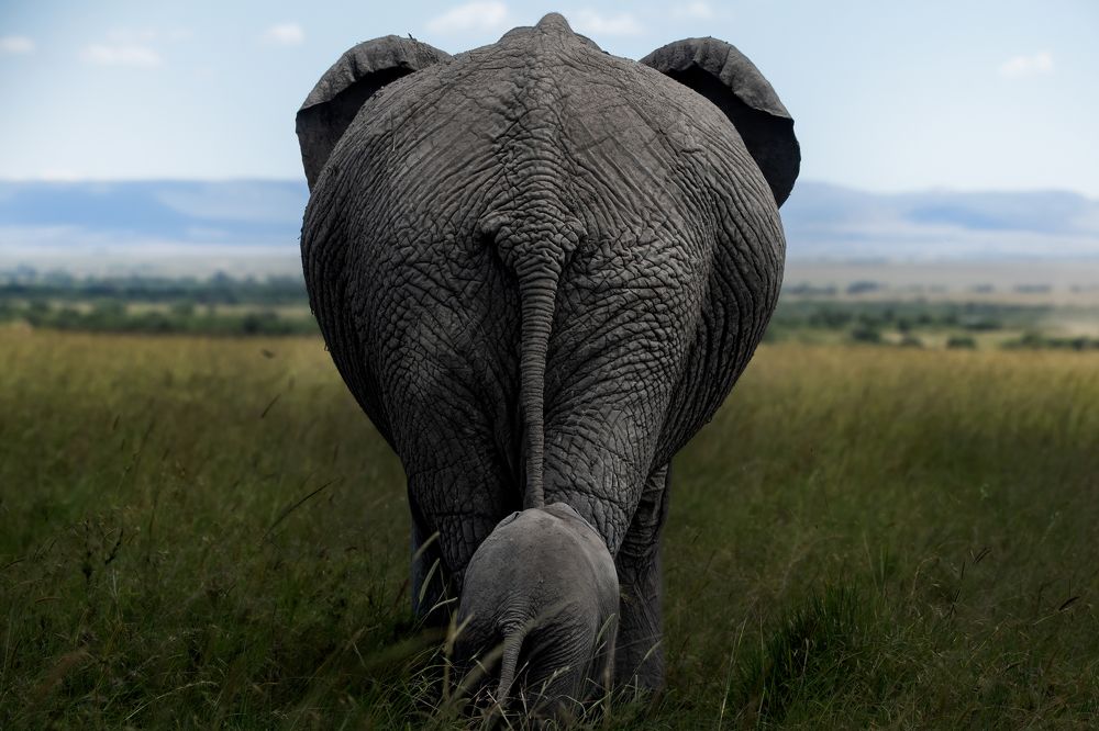 Following in Her Footsteps