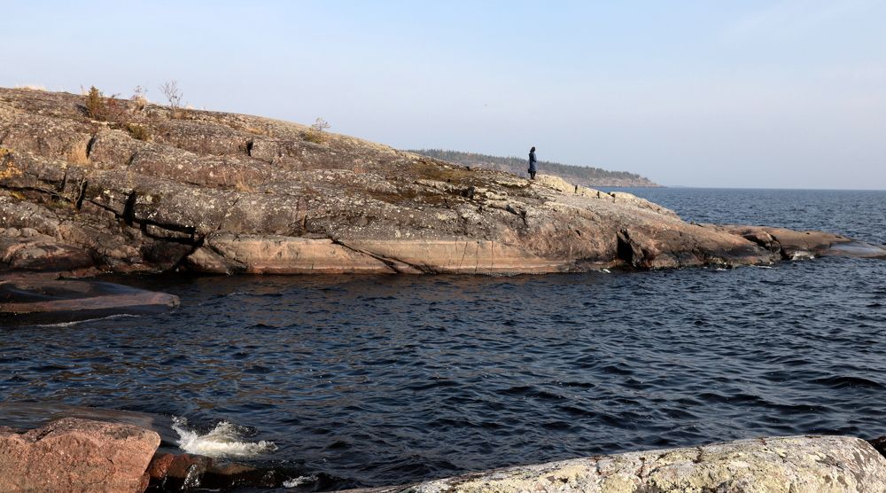 Photograph by елена