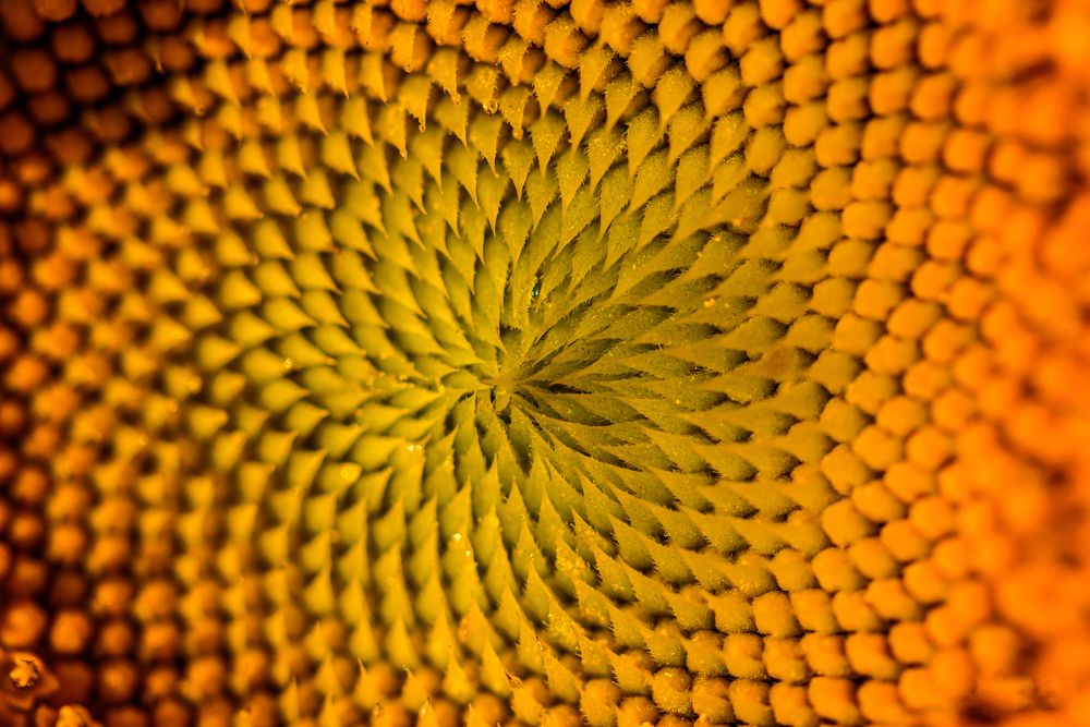 Photograph by levi bagy