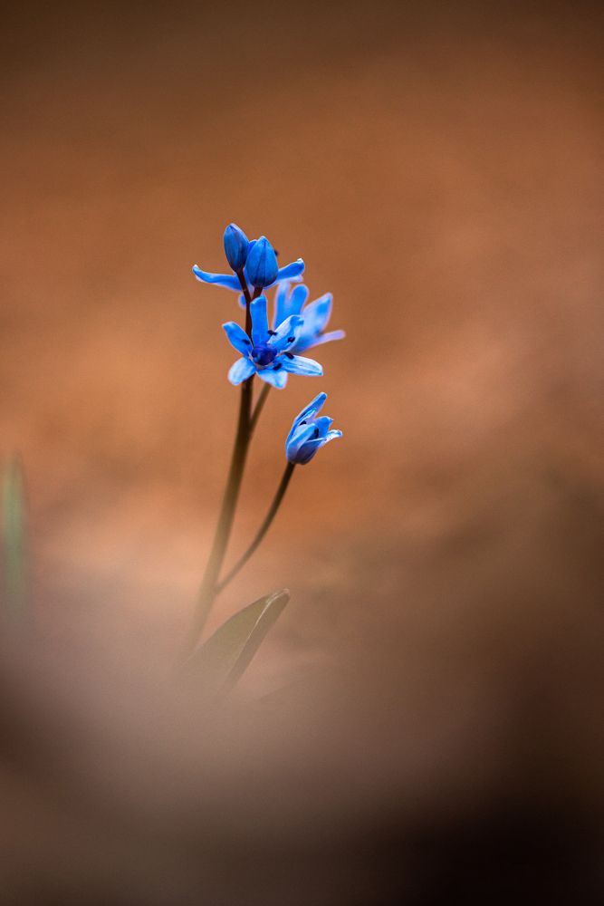 Photograph by levi bagy