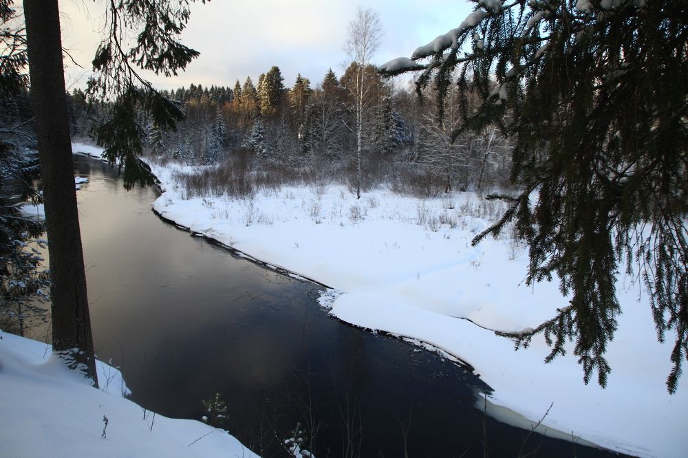 Фотография автора Анастасия Зверева