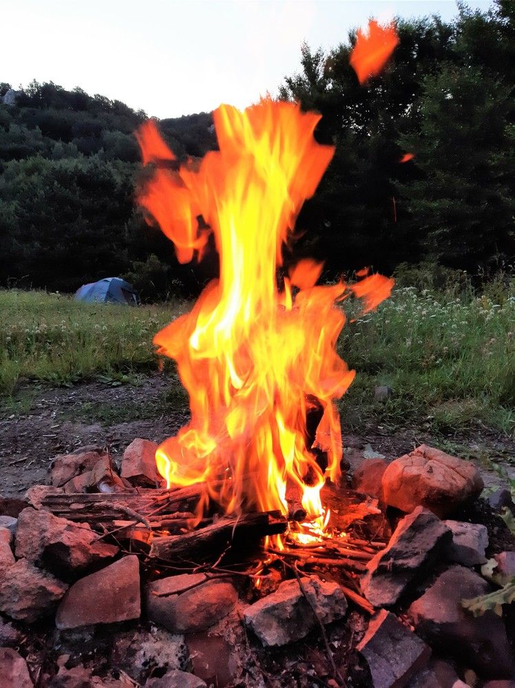 Photograph by Галина Глазкова