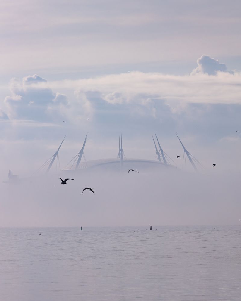 Фотография автора Evgeny