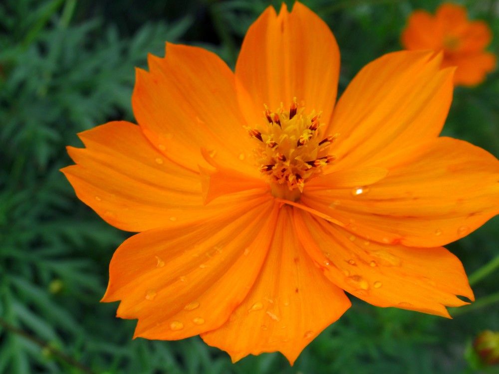 Photograph by Ольга Березовская