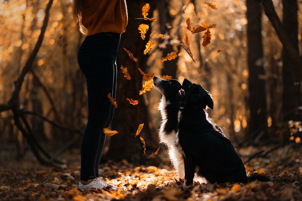 Photograph by Анна Тюрина