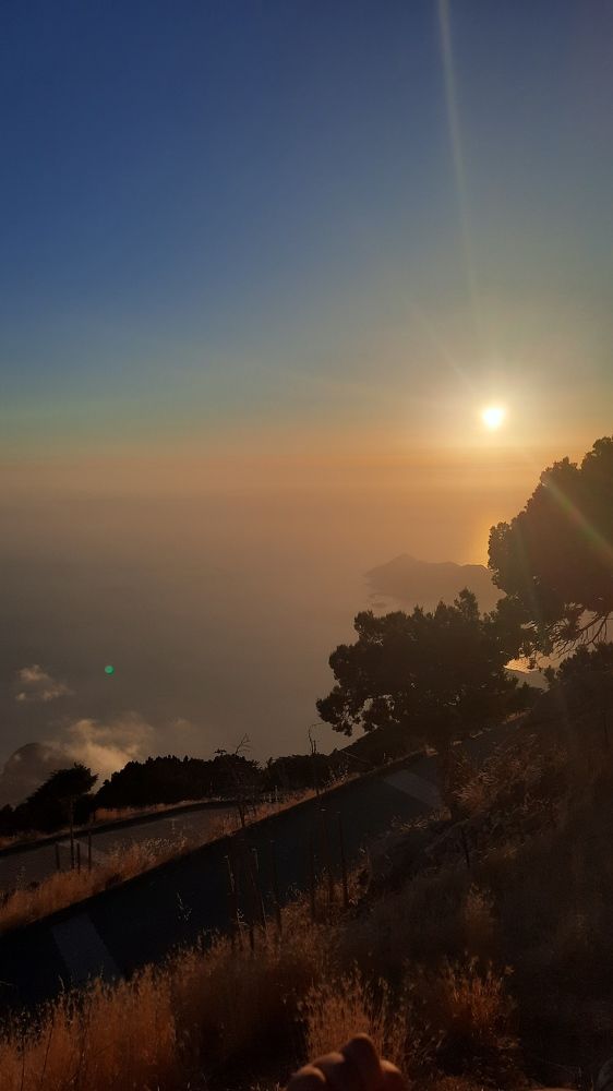 Photograph by Мария Торговцева