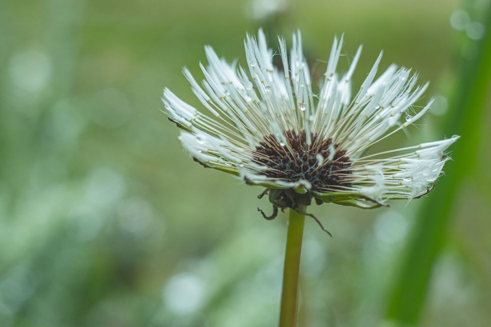 Photograph by Алексей Медведев