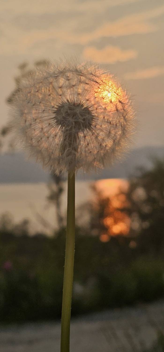 Фотография #9558280