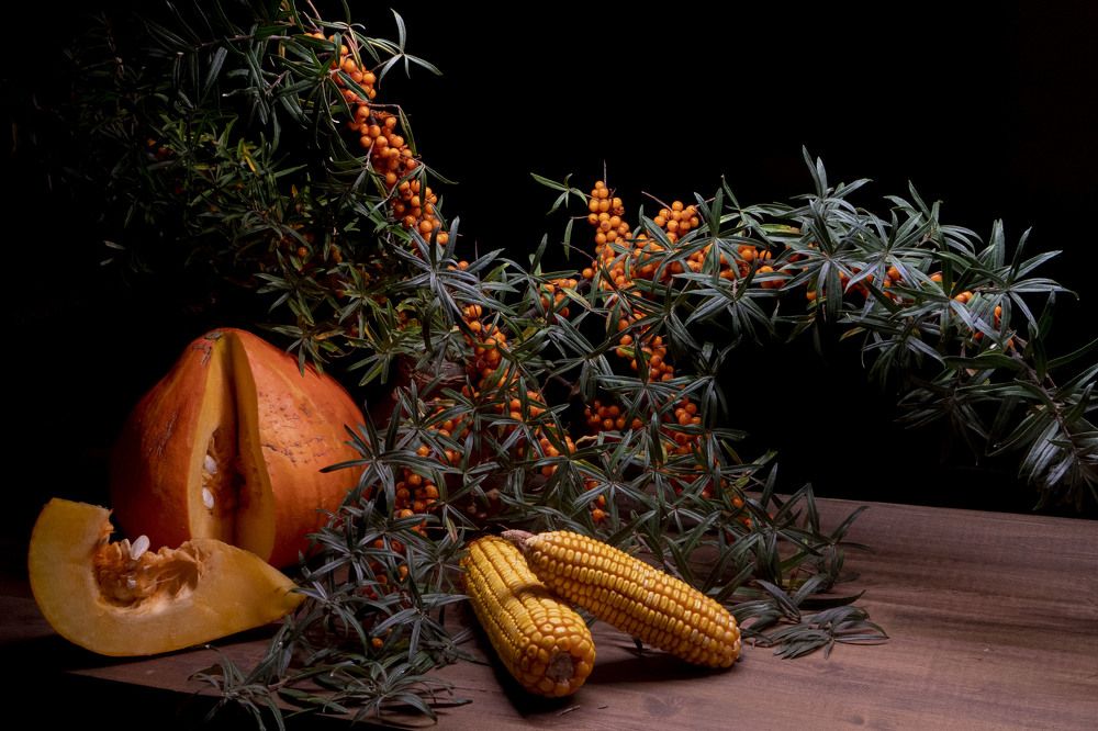 Photograph by Марина Вильдяева