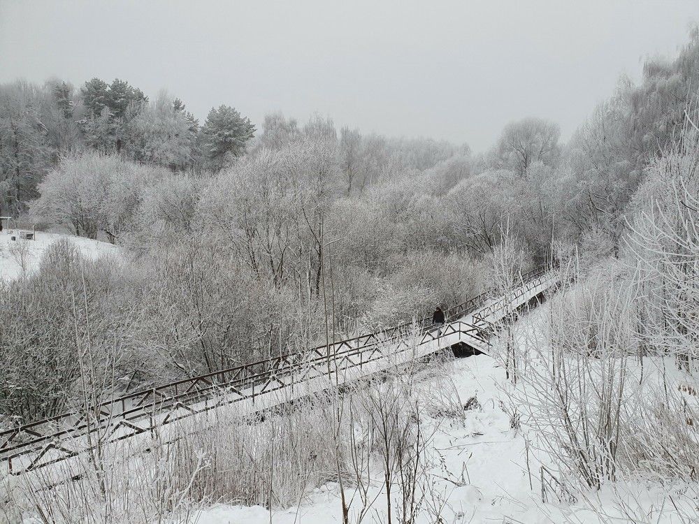 Photograph by Яна Галимуллина
