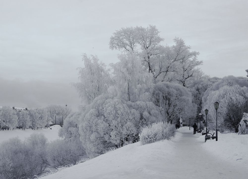 Фотография автора Светлана Зимина