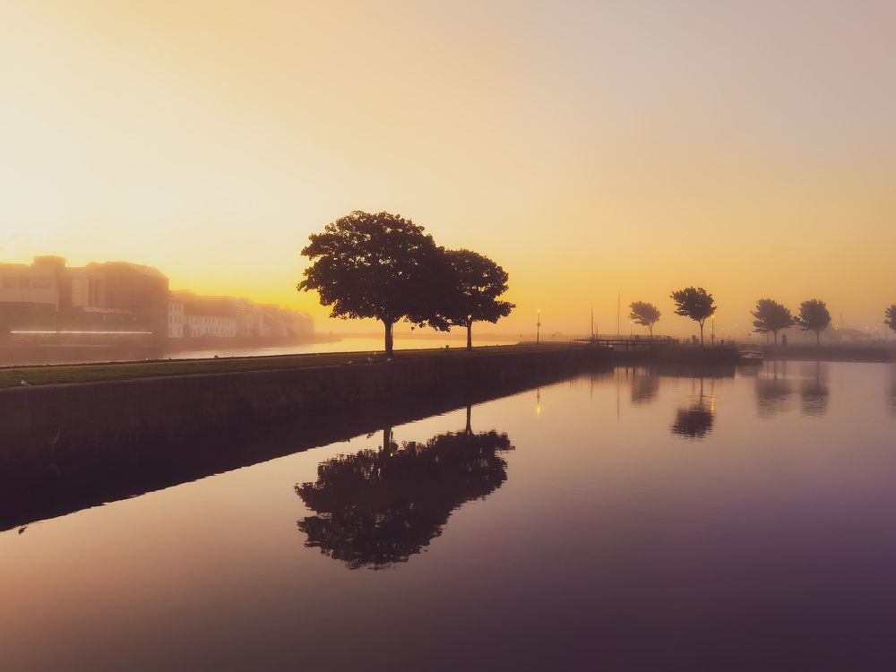 Photograph by Michael Deligan