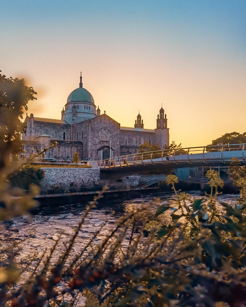 Photograph by Michael Deligan