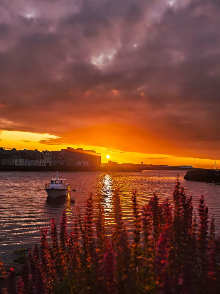 Photograph by Michael Deligan