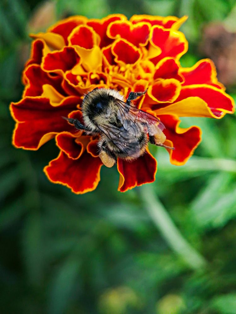 Photograph by Александра Гонтарь