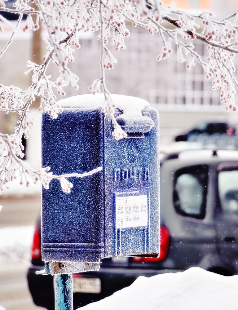 Фотография автора Наталья Новикова