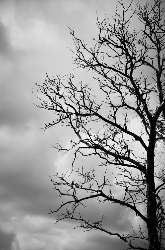 Photograph by Аряева Анна