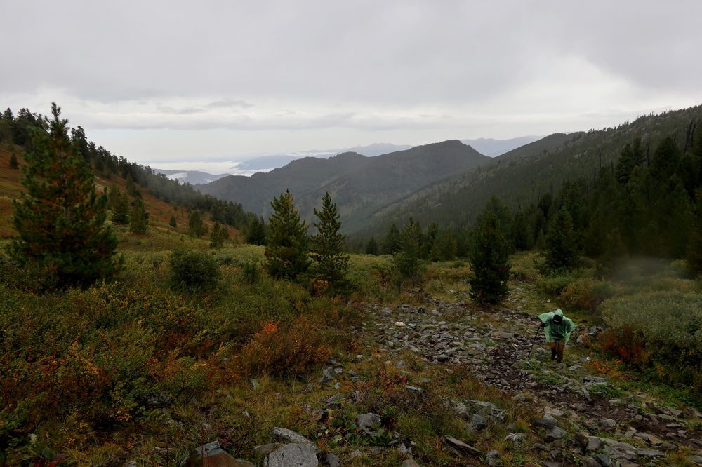 Photograph by Рашид Шайдулин