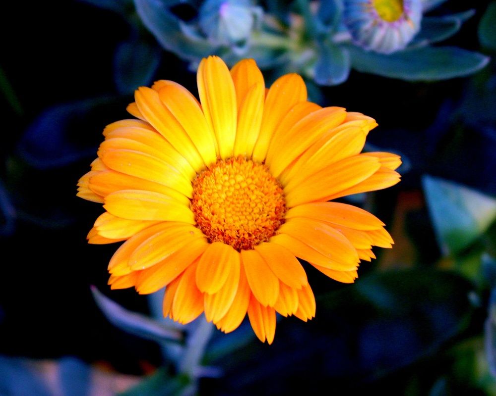 Photograph by Глеб Кузьминых