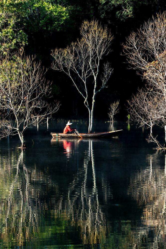 Photograph by nguyễn minh