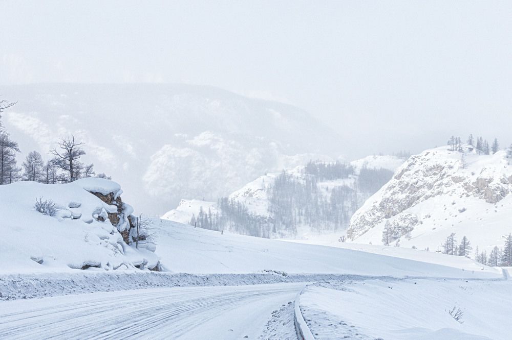 Photograph by ИРЕНА Цурпал