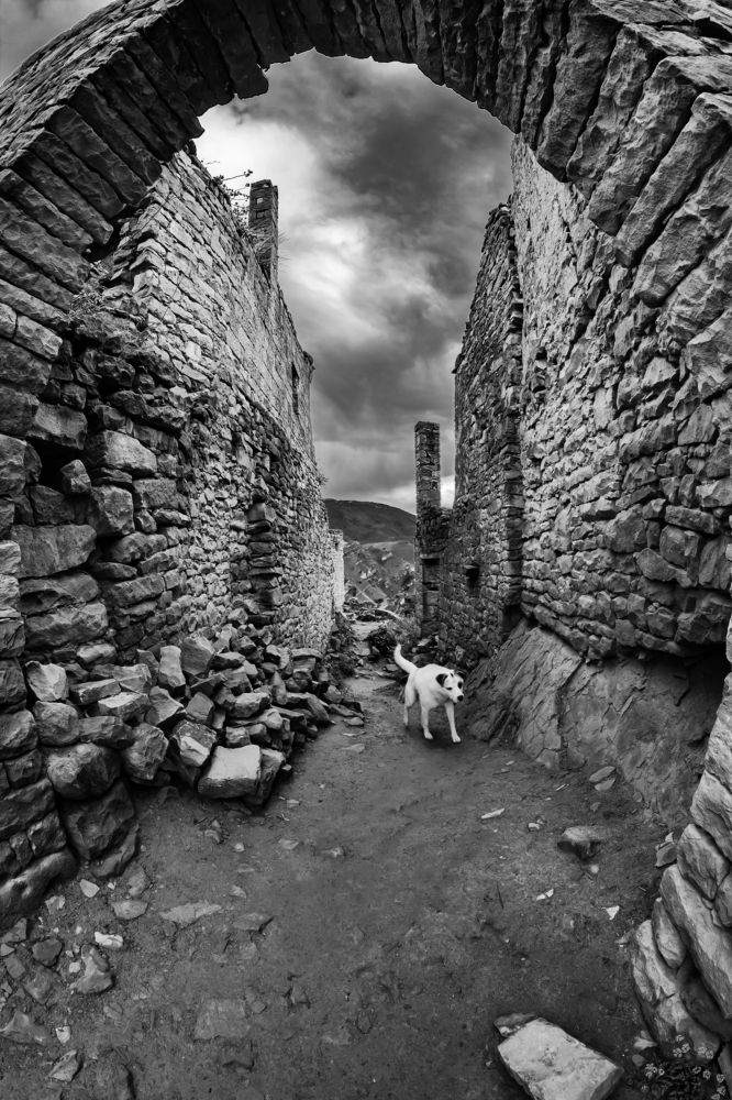 Страж  Аула-призрака Гамустль.